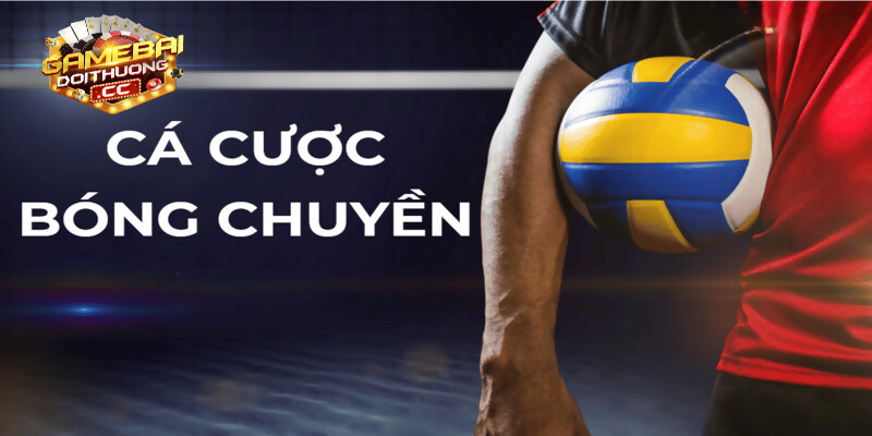 Luật cá cược bóng chuyền
